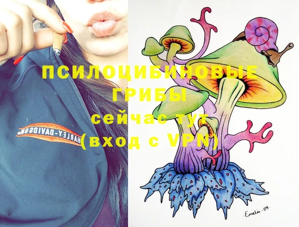 гидропоника Богданович